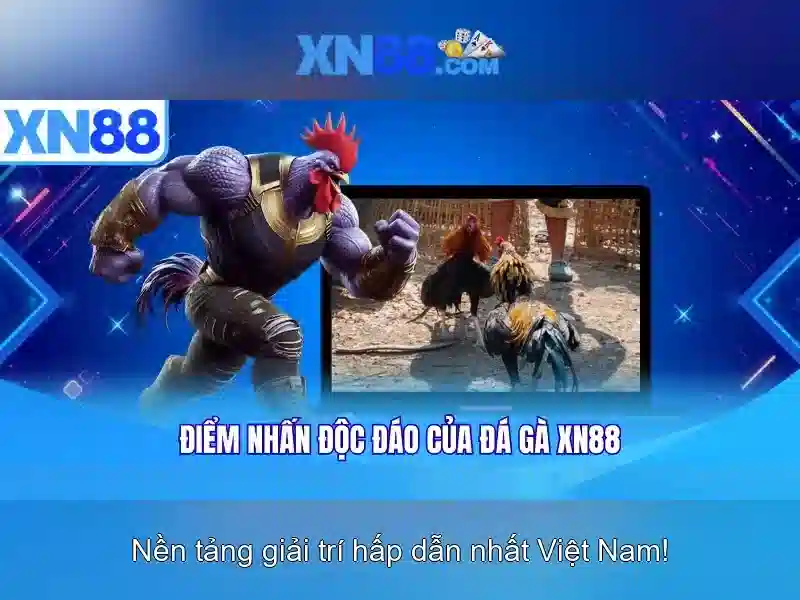 Các sản phẩm chính của xn88