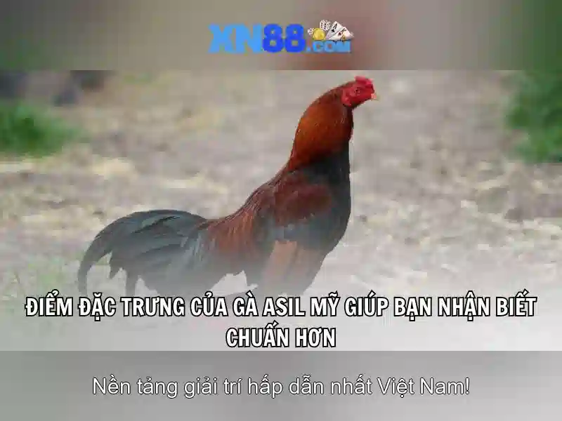 Làm thế nào để bắt đầu\n