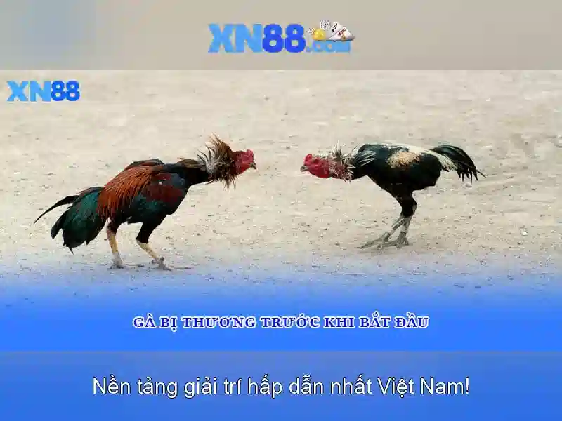Độ tin cậy và bảo mật