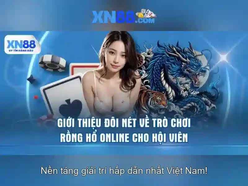 xn88: Đánh giá và tổng quan