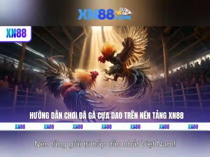 Đặc điểm nổi bật của XN88