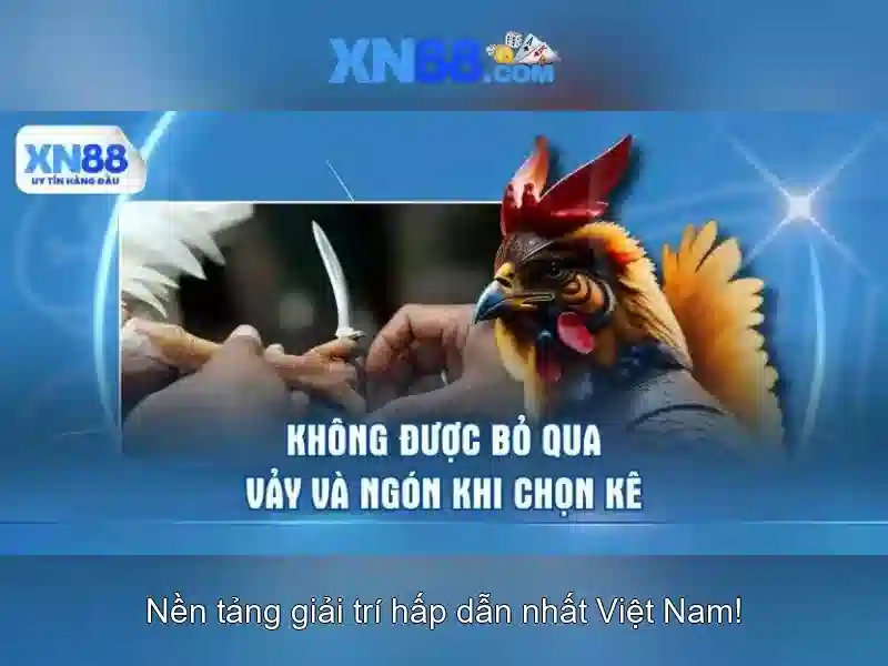 xn88., Trải nghiệm game trực tuyến đẳng cấp và an toàn