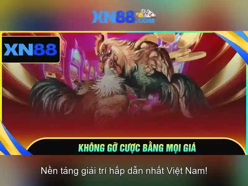XN88 là gì?