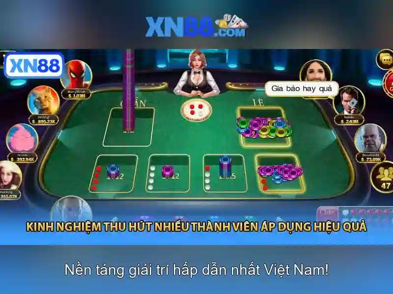 Xn88: Tổng quan về nền tảng trò chơi trực tuyến