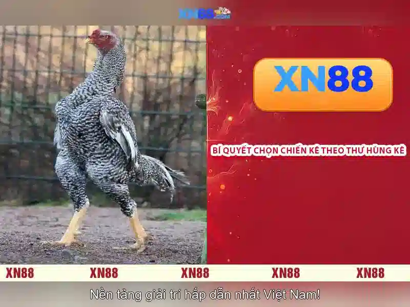 xn88 vip – Trải nghiệm đỉnh cao cùng xn88 casino và xn88 bet vip