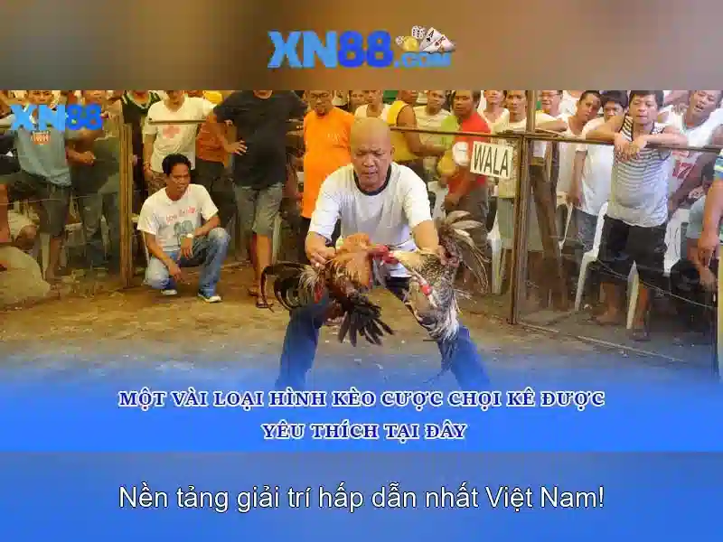 Khuyến nghị và chơi có trách nhiệm