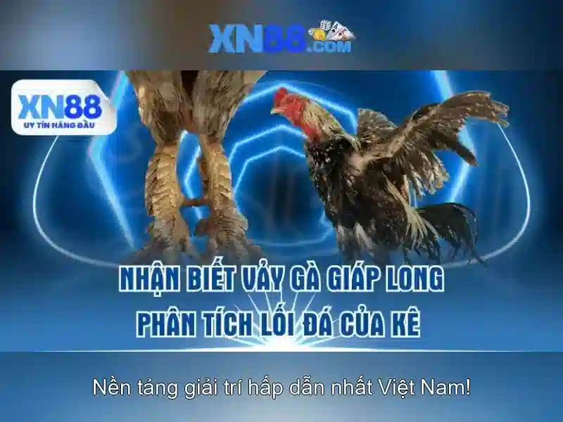 Hỗ trợ và cộng đồng người chơi