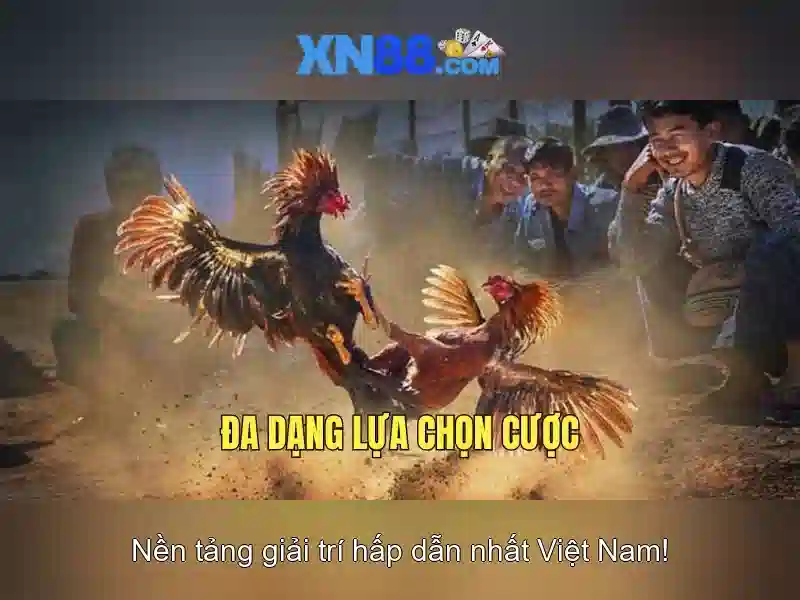 Giới thiệu về xn88