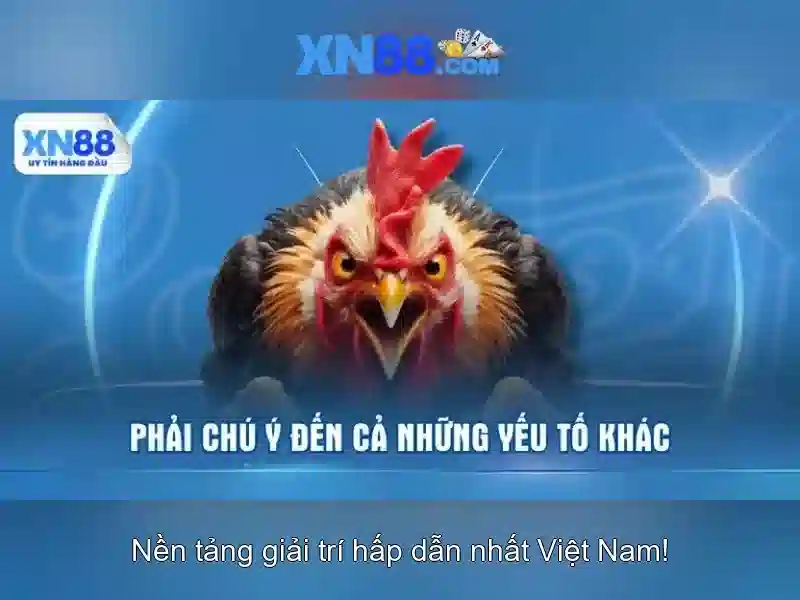 Xn88 là nền tảng trò chơi trực tuyến