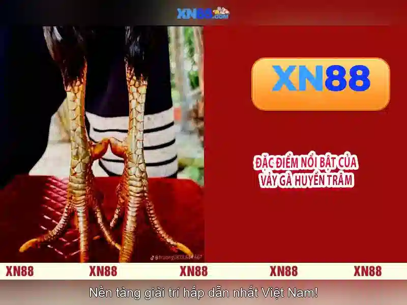 xn88: Tổng quan về nền tảng trò chơi trực tuyến tại Việt Nam