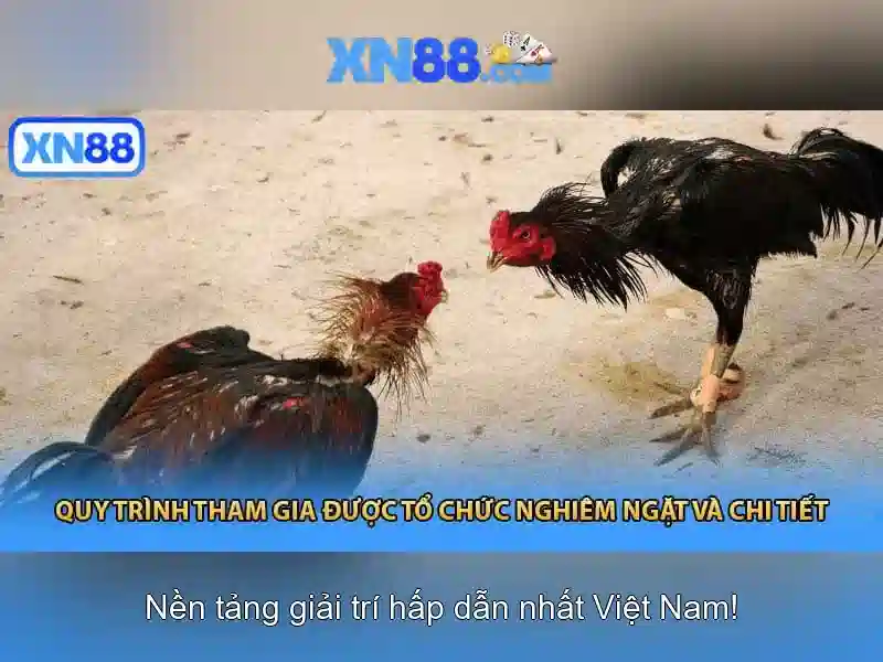 xn88: Tổng quan về nền tảng trò chơi trực tuyến tại Việt Nam