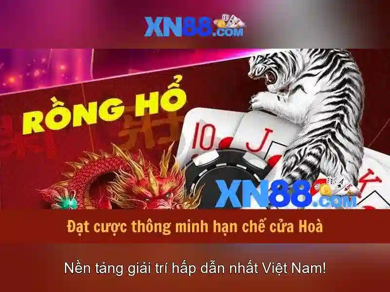 XN88: Nền tảng giải trí và cược trực tuyến uy tín