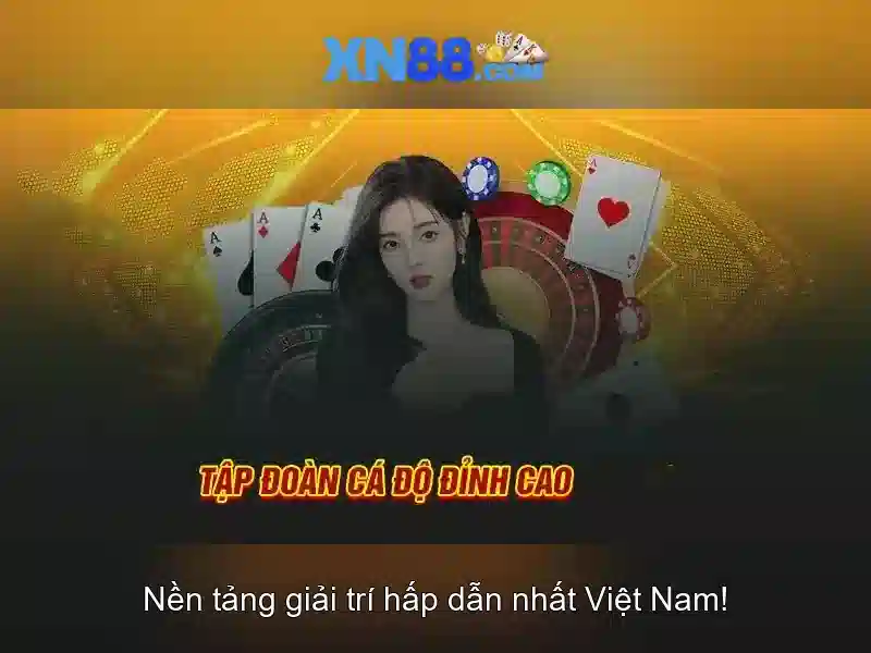 Nền tảng và giao diện người dùng