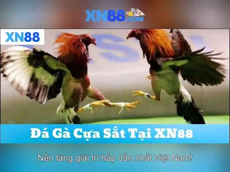 xn88: Giới thiệu và các tính năng nổi bật