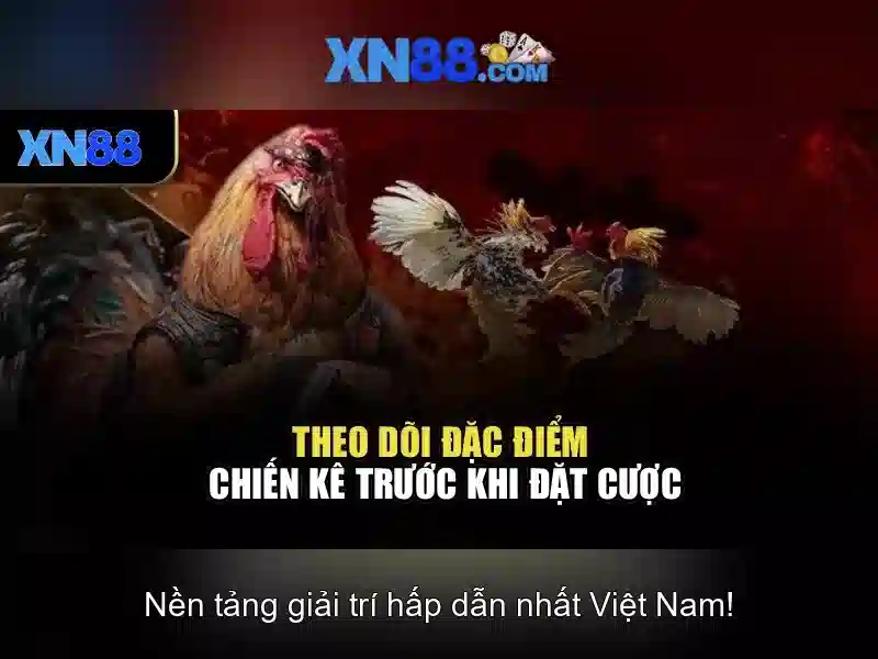 Trải nghiệm người dùng và phản hồi cộng đồng