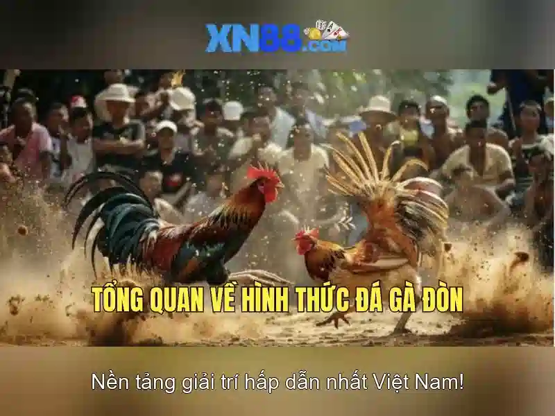 xn88: Nền tảng trò chơi trực tuyến đa dạng và an toàn