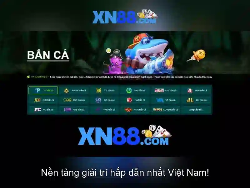 Trải nghiệm người dùng và hỗ trợ