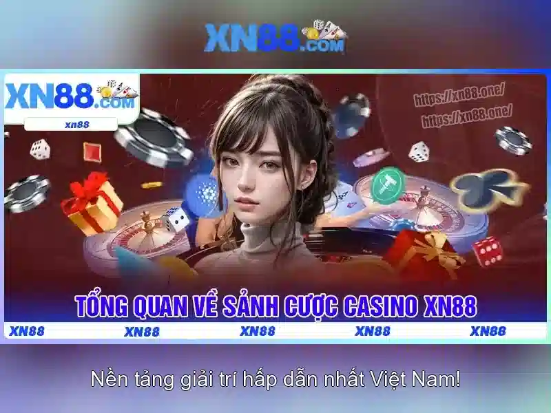 Các dịch vụ nổi bật\n