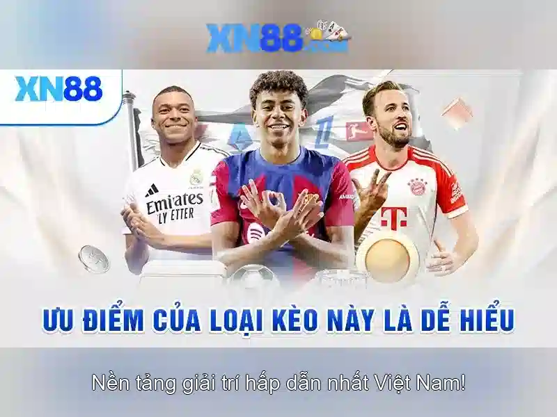 Lịch sử và vị thế trên thị trường