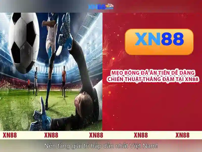An toàn và cấp phép