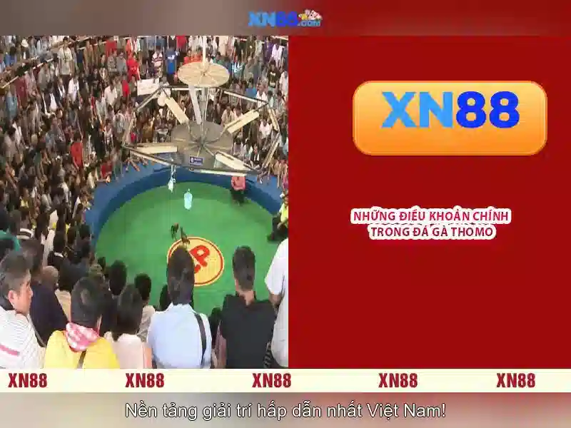 xn88: Nền tảng cá cược trực tuyến hiện đại