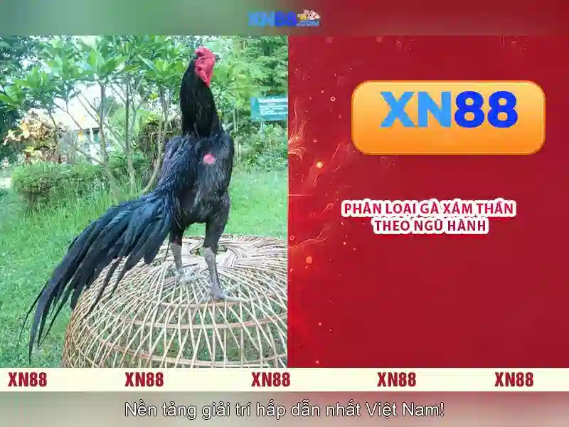 Khám phá xn88: Nền tảng chơi game và cá cược trực tuyến