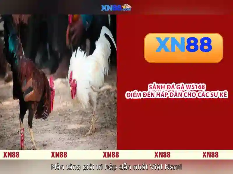 Trò chơi và sản phẩm