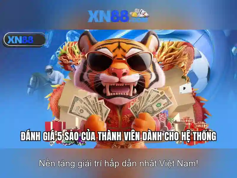 Xn88 là gì? Tổng quan và lưu ý an toàn