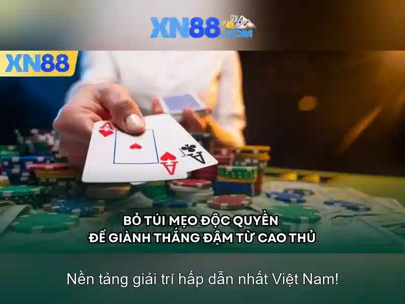 xn88: Đánh giá và cái nhìn tổng quan