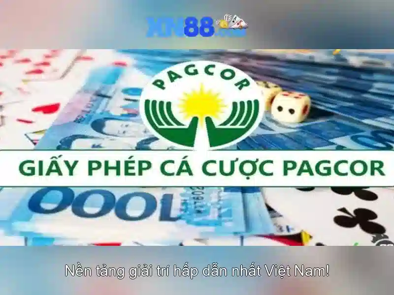 xn88: Tổng quan về nền tảng và trải nghiệm người dùng