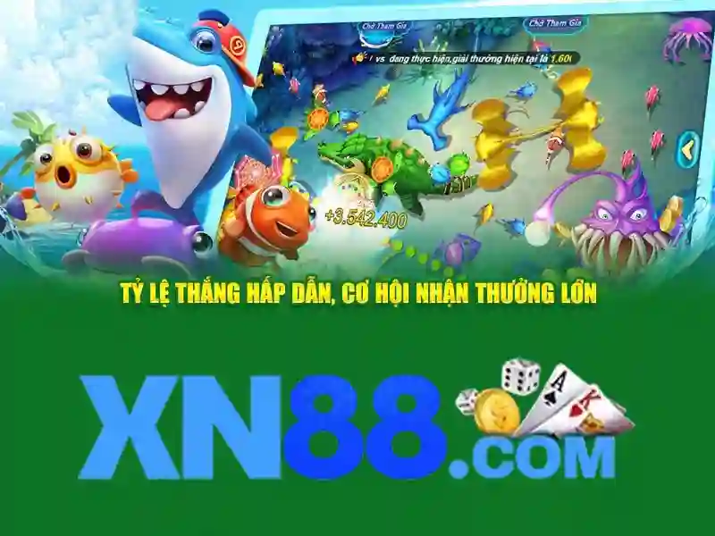 Cấu trúc dịch vụ và tính năng nổi bật